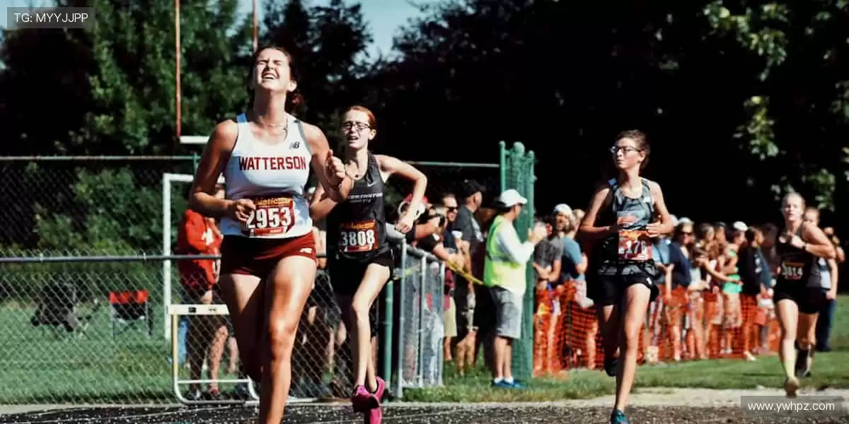 🎁 限量潮品，独家发售，体育周边让热爱触手可及！